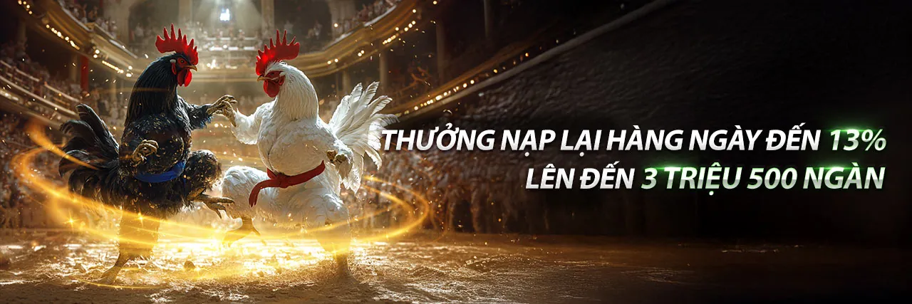 Cá cược Thể thao 78wij - Sân vận động sôi động