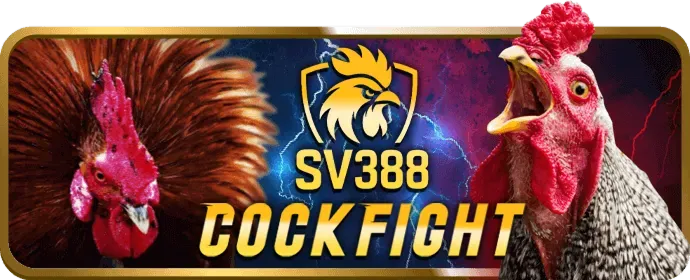 Bắt đầu chơi và thắng lớn tại 78wij